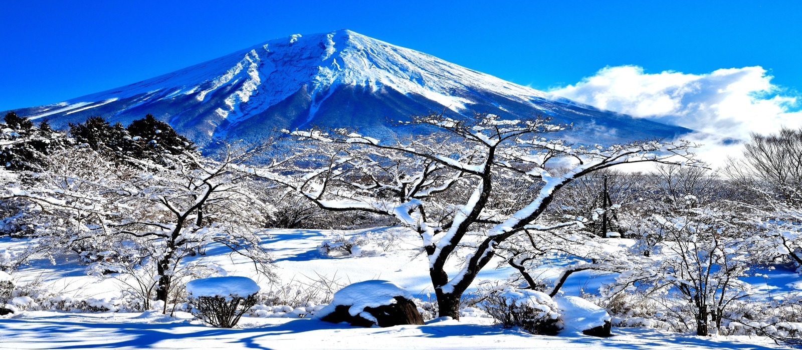 冬化粧の富士山の写真