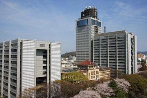 写真：静岡県庁　建物