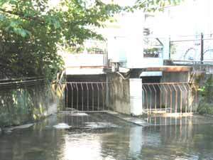 写真：城濠用水の起点（左側）