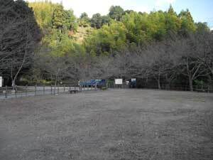 写真：隣接する山原堤公園