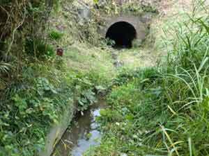 写真：下流側水路と水路トンネル