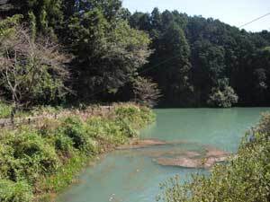 写真：奥山中池（上流部付近）