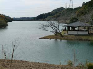 写真：池の上流より池の提方向を望む