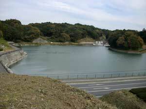 写真：全景（上流側の池…道路を挟んで北側）