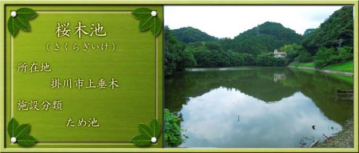 写真：桜木池（さくらぎいけ）所在地：掛川市上垂木 施設分類：ため池