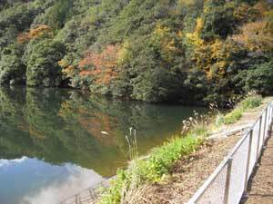 写真：仏沢池全景