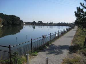 写真：昭和池と遊歩道