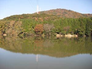 写真：遊歩道より昭和池を望む