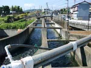 写真：水路下流より望む