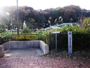 写真：親水公園入口