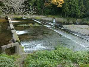 写真：那賀川の頭首工