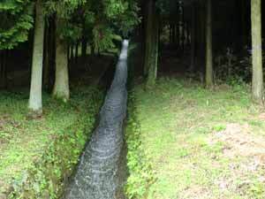 写真：田貫神社脇の用水路