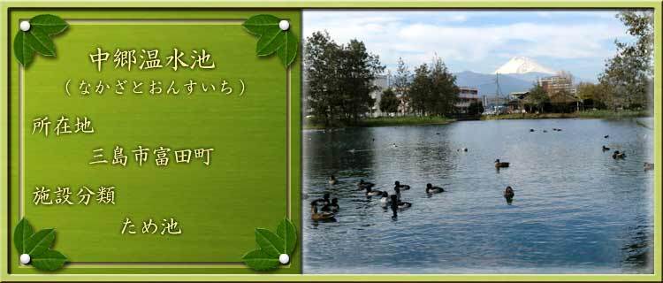 写真：中郷温水池（なかざとおんすいち）所在地：三島市富田町 施設分類：ため池