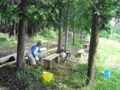 写真：草刈や伐採木の片付け作業3