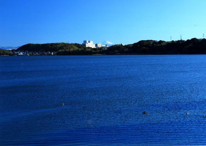 写真：佐鳴湖　富士見水門