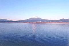 写真：富士川河口から望む富士山