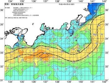 図：カラーの漁海況速報