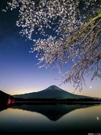 写真：入選5富士山と桜
