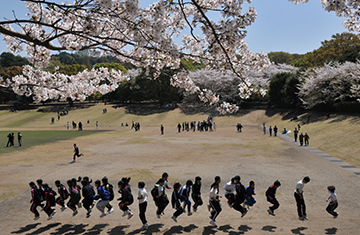 写真：平成23年度静岡県内の桜部門準特選1