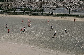 写真：静岡県内の桜部門準特選2