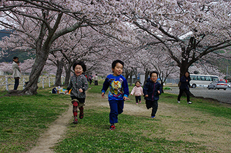 写真：平成24年度静岡県内の桜部門入選8