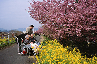 写真：平成22年度静岡県内の桜部門入選7