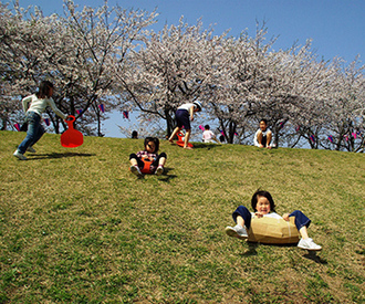 写真：平成22年度静岡県内の桜部門入選10