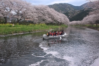 写真：平成30年度静岡県内の桜部門入選5