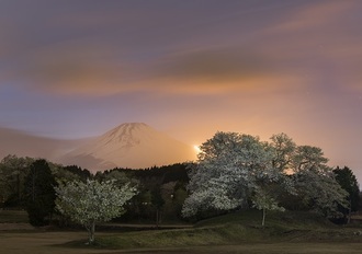 写真：令和元年度富士山と桜部門入選1