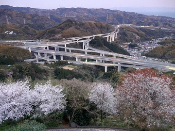 写真：令和元年度特別賞（静岡県道路利用者会議会長賞）