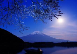 写真：令和2年度富士山と桜部門入選1