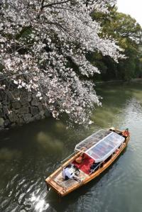 写真：令和3年度桜の風景部門入選1