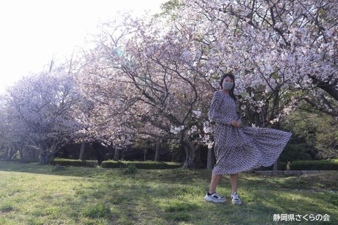 写真：桜と私