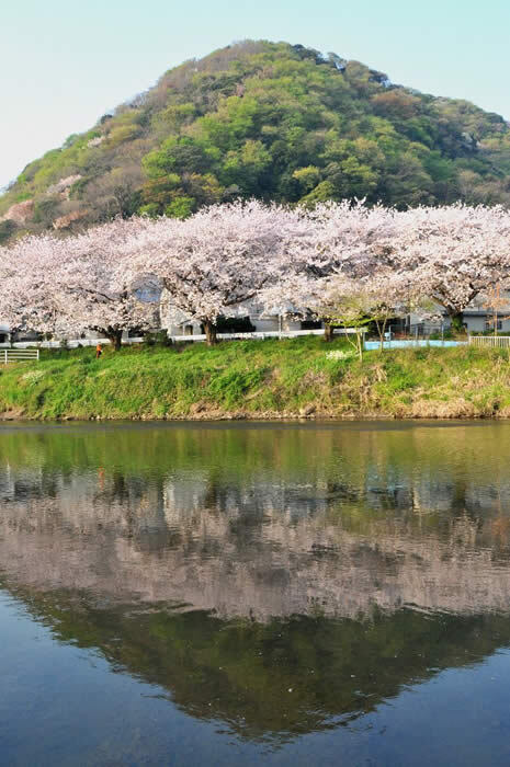 写真：平塚富士