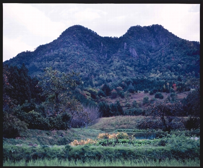 写真：丹波富士