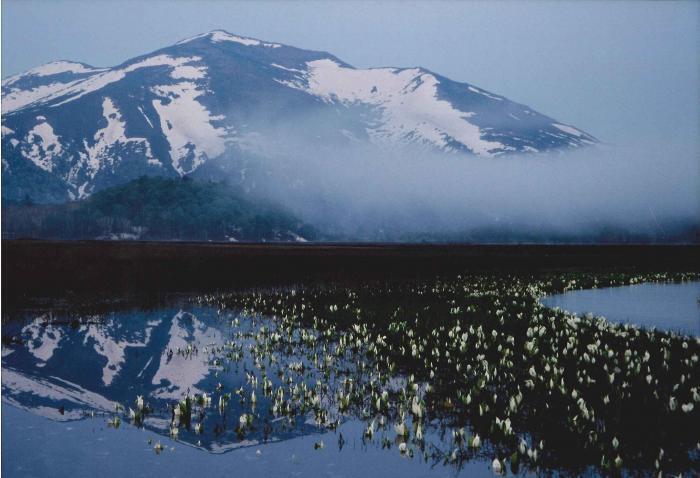 写真：尾瀬の西富士
