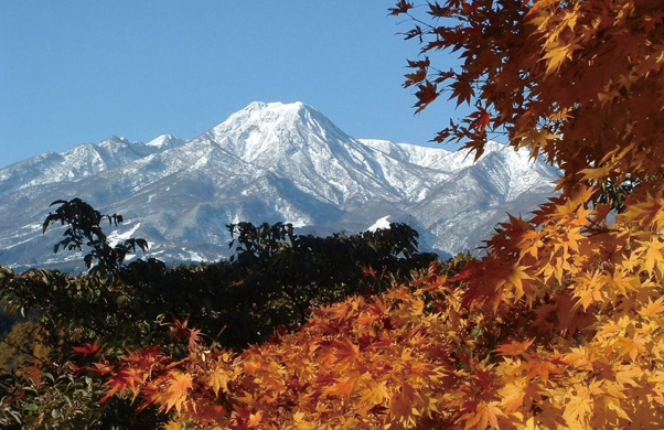 写真：越後富士［妙高山］