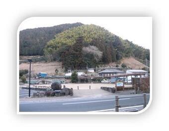 写真：神明神社の梅林植栽地全景