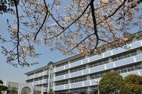 静岡県立浜松商業高等学校