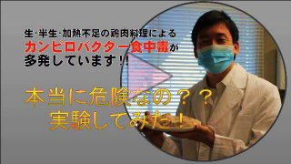 動画サムネイル：鶏肉による食中毒・職員が実験してみた