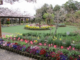 写真：団体花壇（掛川フラワーエンジェル（掛川城公園内））