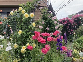 お庭へ続くバラのアーチ