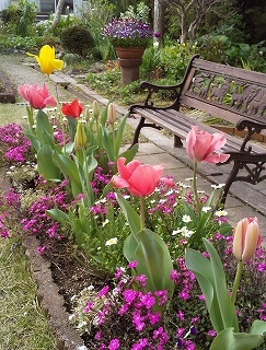 4月　春花壇