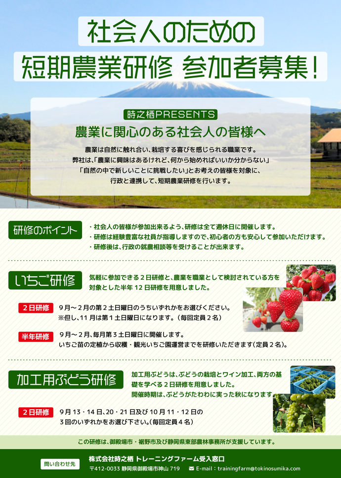募集チラシ