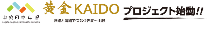 黄金KAIDOプロジェクト始動！