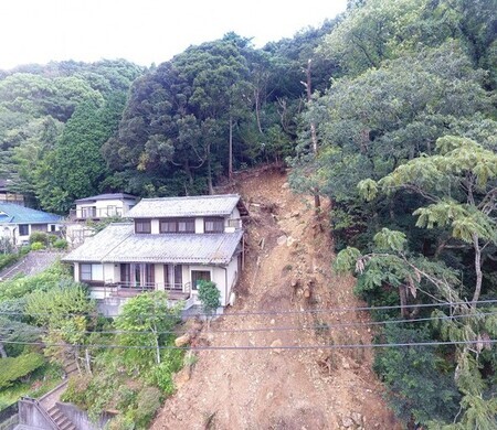写真:向山