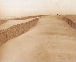 海岸砂防