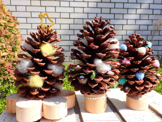 松ぼっくりつりー