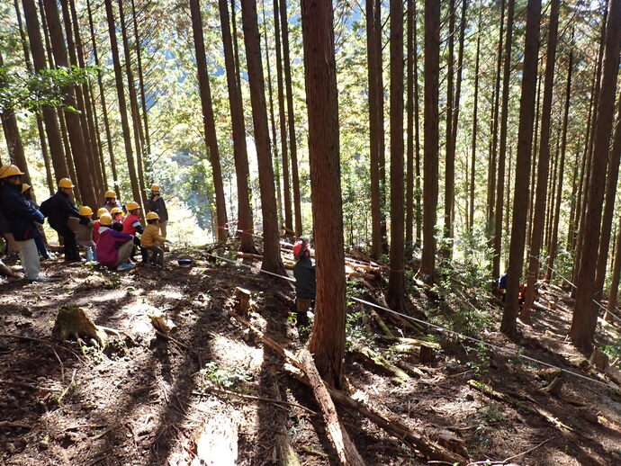 伐採体験のイメージ写真