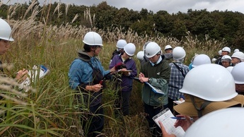 植生調査の様子